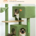 Large Cat Tree for Big Breeds