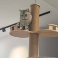 Cat Tree with Light-Up Perch
