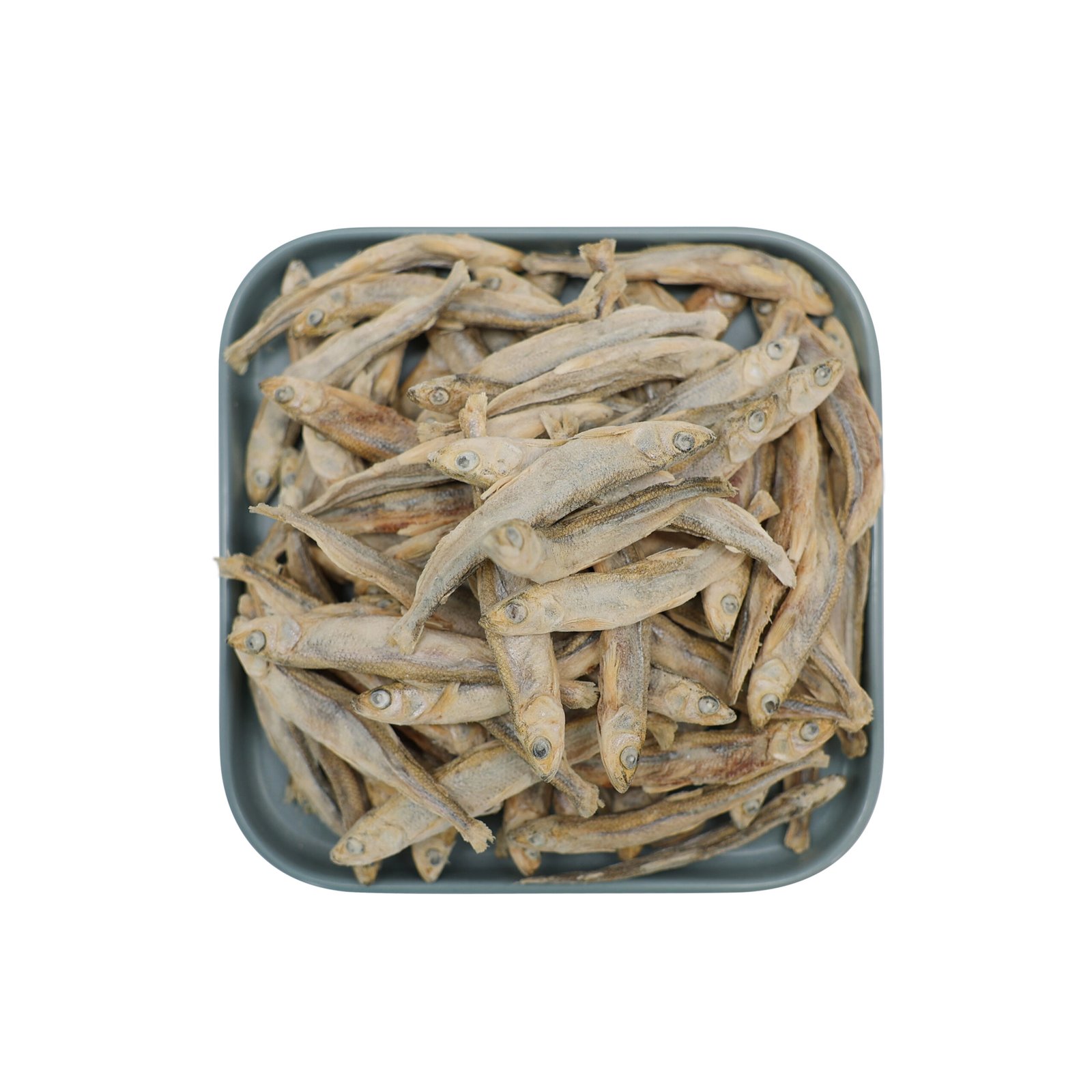 Male Capelin