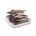 Capelin