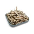 Male Capelin