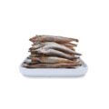 Capelin