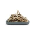 Male Capelin