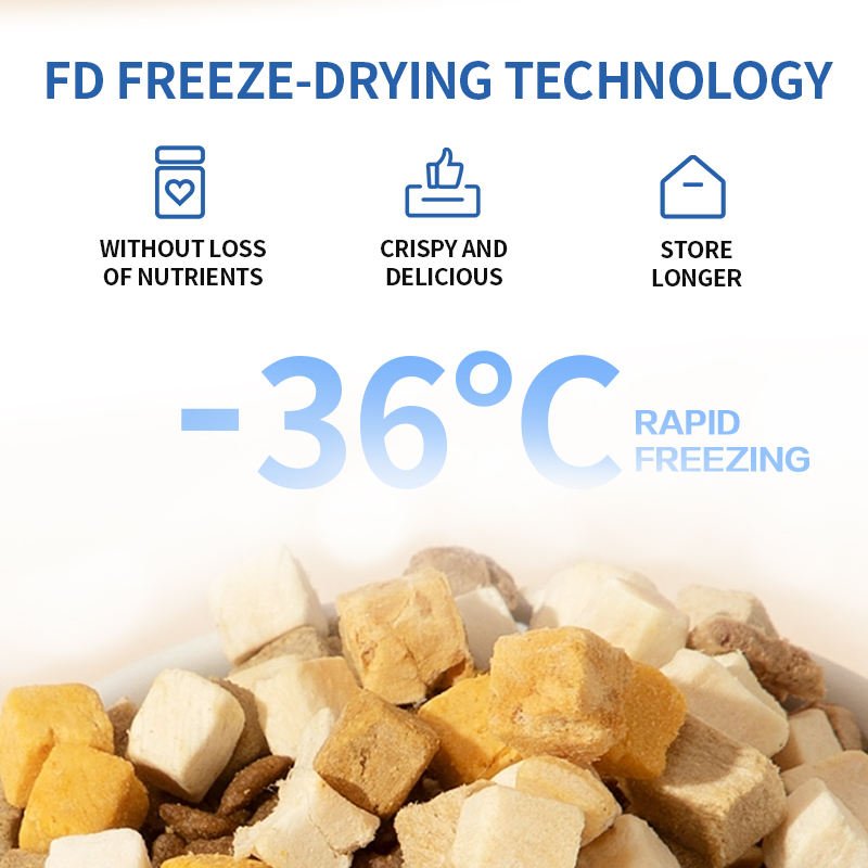 What Pet Owners Ask About Freeze-Dried Food: A Guide for Brands