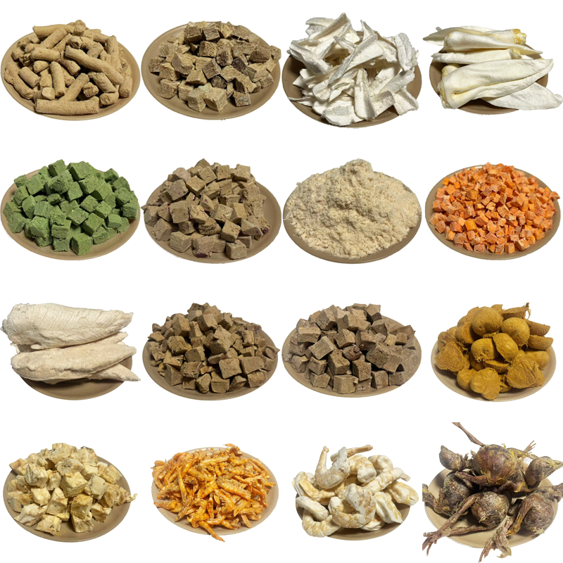 The Role of Functional Ingredients in Freeze-Dried Pet Food: What Brand Owners Need to Know About Probiotics, Omega-3s, and Superfoods