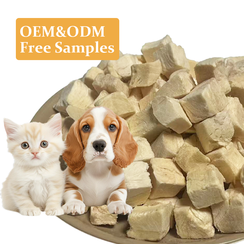 The Path from Pilot to Production: What Every Freeze-Dried Pet Food Brand Needs to Know About Scaling