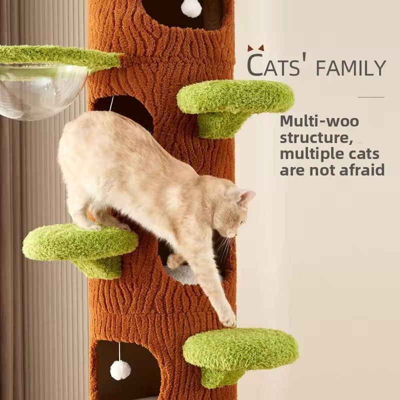 The Assembly Experience: Why Clear Instructions and Smart Design Reduce Returns in Cat Furniture